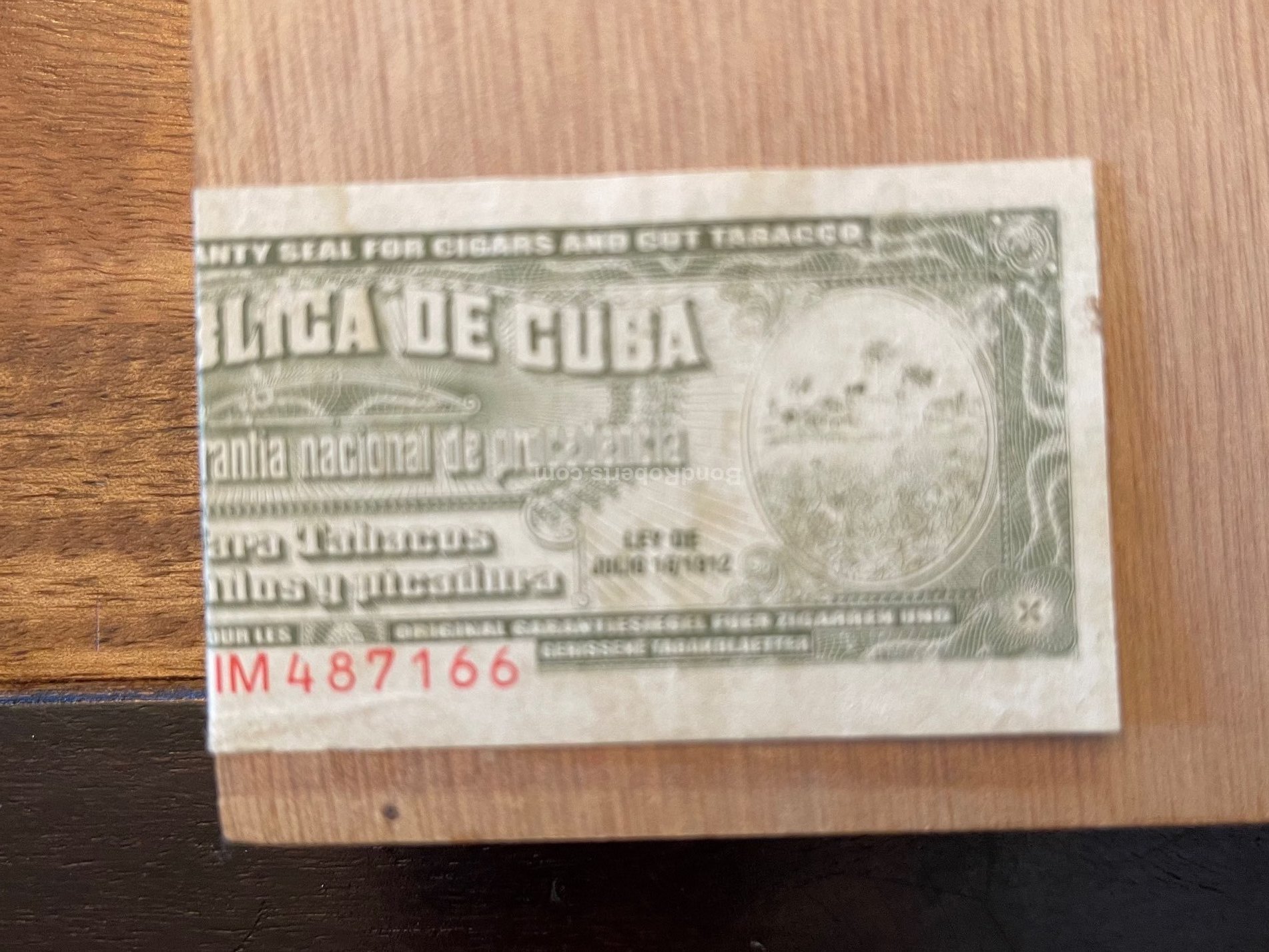 LCA Plus Trinitaria Jugo Dorado by Chico Rivas
