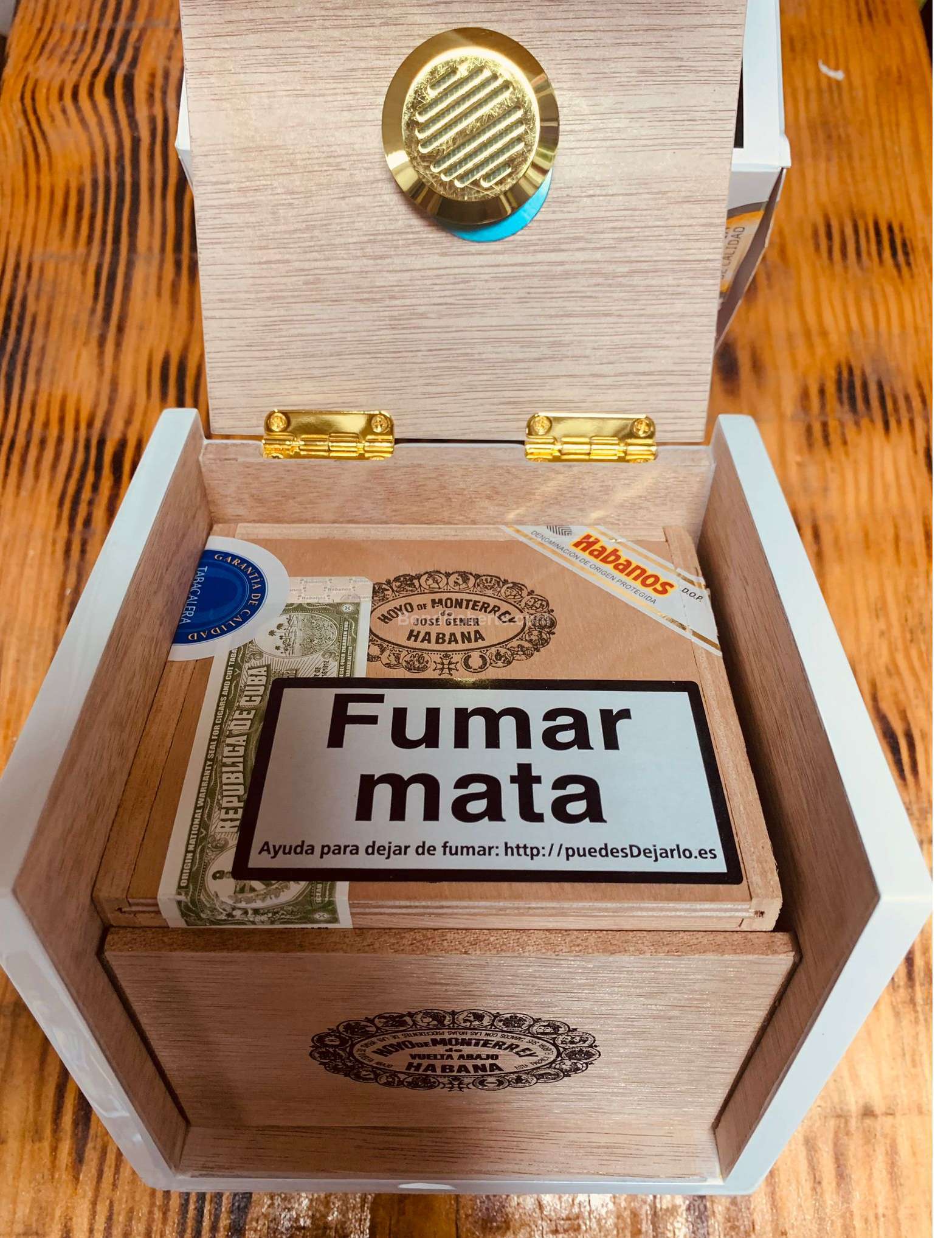 Hoyo de Monterrey Petit Robustos Spanish Humidor Release (2nd) 2019