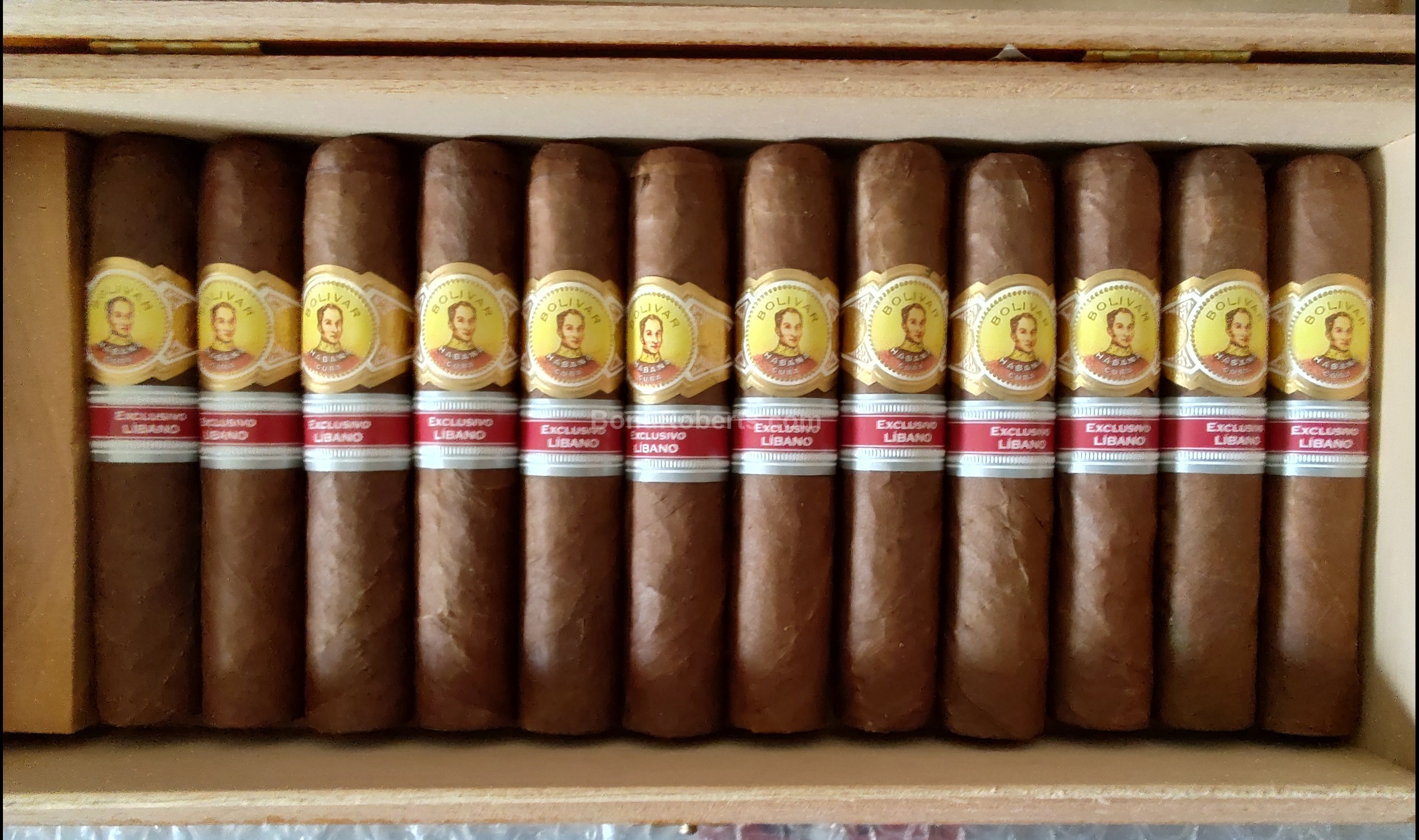 Bolívar Byblos Edición Regional Líbano 2017 Numbered Varnished semi boîte nature box of 25 ci 29189