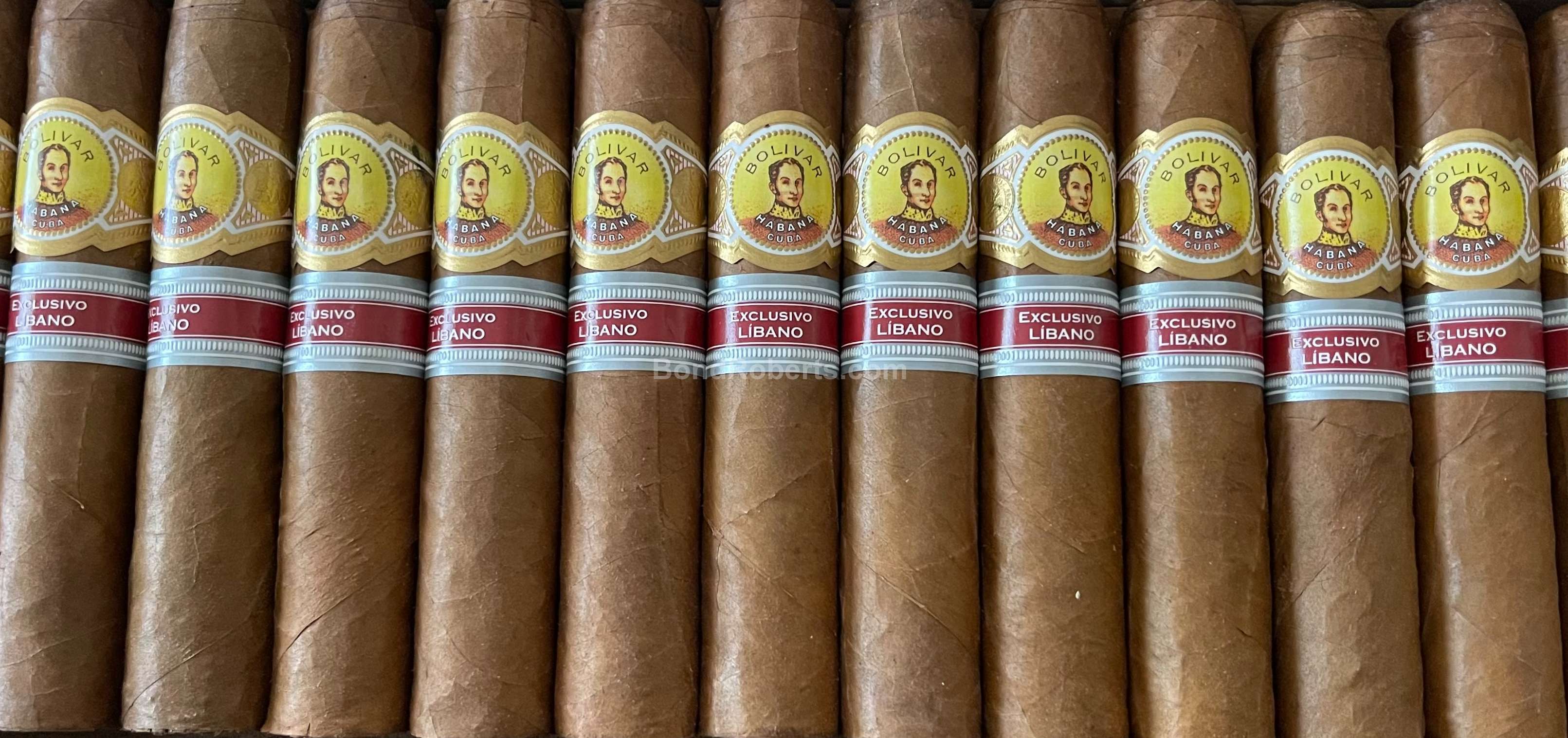 Bolívar Byblos Edición Regional Líbano 2016 Varnished semi boîte nature box of 25 ci 13332