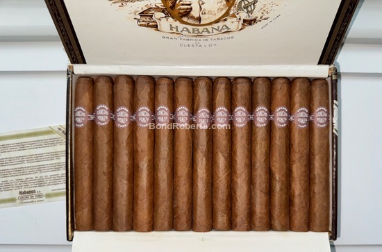 Sancho Panza Non Plus