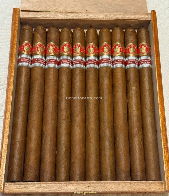 Saint Luis Rey Adamastor