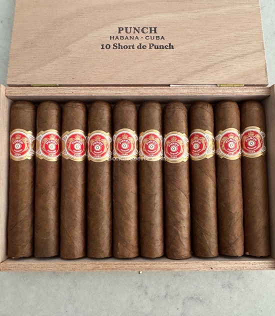 Punch Short de Punch